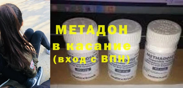 индика Пестово