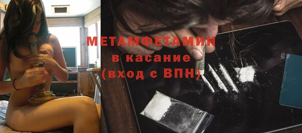 шишки Абаза