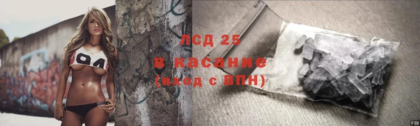 индика Пестово
