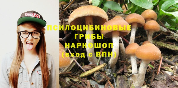 гидра Абдулино