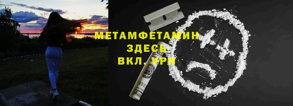 индика Пестово
