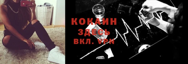 шишки Абаза