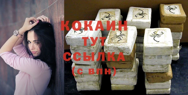 шишки Абаза