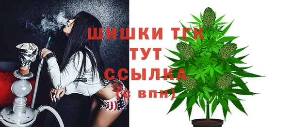 шишки Абаза