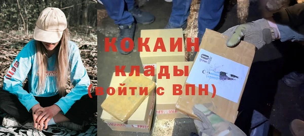 индика Пестово
