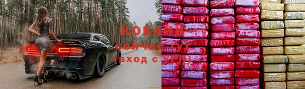индика Пестово