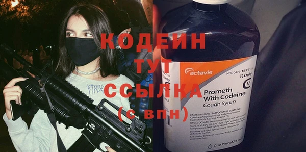 шишки Абаза