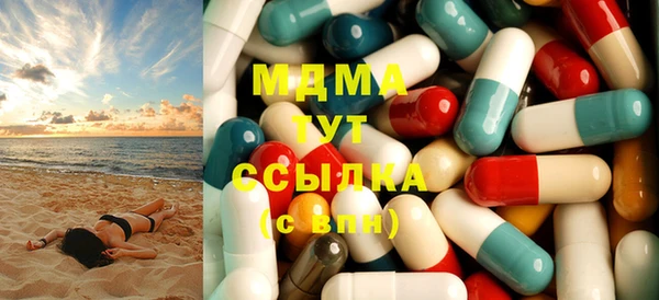 индика Пестово