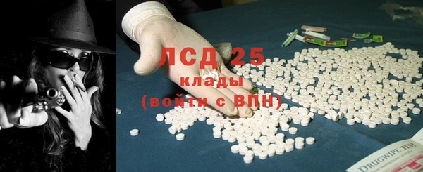 шишки Абаза
