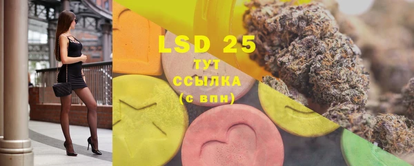 индика Пестово