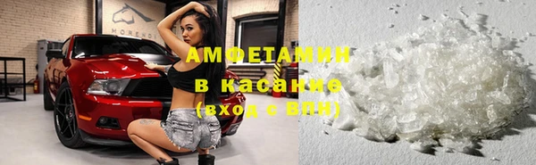 шишки Абаза