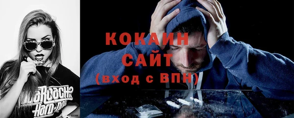 индика Пестово