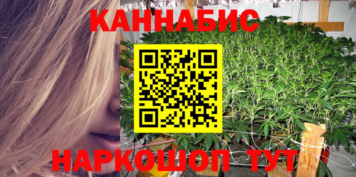 Бошки марихуана планчик Воронеж